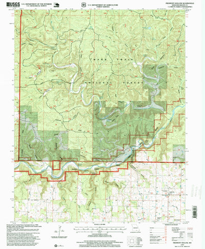 United States Geological Survey Piedmont Hollow, MO (1997, 24000-Scale) digital map