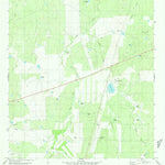 United States Geological Survey Piedra Parada Ranch, TX (1980, 24000-Scale) digital map