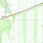 United States Geological Survey Piedra Parada Ranch, TX (1980, 24000-Scale) digital map