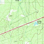 United States Geological Survey Piedra Parada Ranch, TX (1980, 24000-Scale) digital map