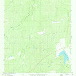 United States Geological Survey Piedra Parada Tank, TX (1980, 24000-Scale) digital map