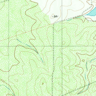 United States Geological Survey Piedra Parada Tank, TX (1980, 24000-Scale) digital map