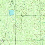United States Geological Survey Piedra Parada Tank, TX (1980, 24000-Scale) digital map