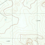 United States Geological Survey Pierce Ranch, TX (1979, 24000-Scale) digital map