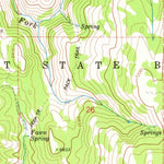 United States Geological Survey Pike Mountain, ID (1978, 24000-Scale) digital map
