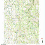 United States Geological Survey Pike Mountain, ID (2001, 24000-Scale) digital map