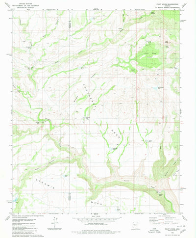 United States Geological Survey Pilot Knob, AZ (1980, 24000-Scale) digital map