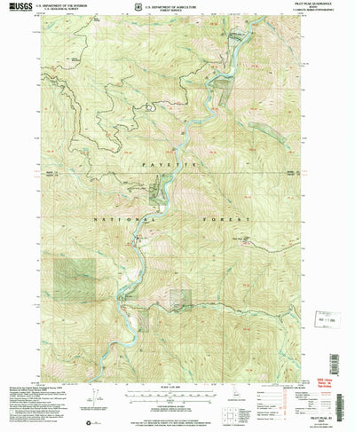 United States Geological Survey Pilot Peak, ID (2004, 24000-Scale) digital map