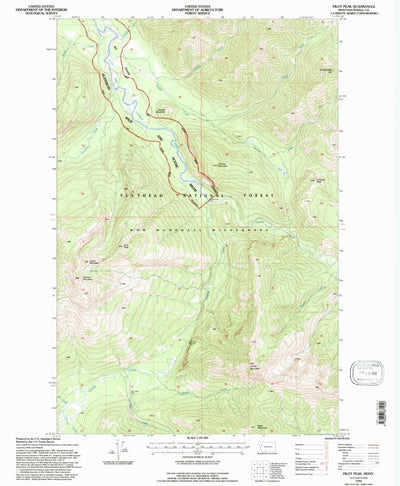 United States Geological Survey Pilot Peak, MT (1994, 24000-Scale) digital map