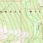 United States Geological Survey Pilot Peak, MT (1994, 24000-Scale) digital map