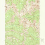 United States Geological Survey Pilot Peak, WY (1989, 24000-Scale) digital map