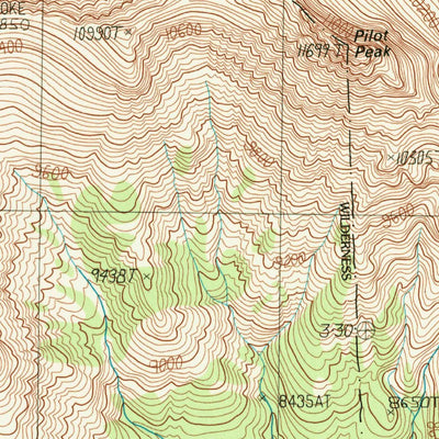 United States Geological Survey Pilot Peak, WY (1989, 24000-Scale) digital map