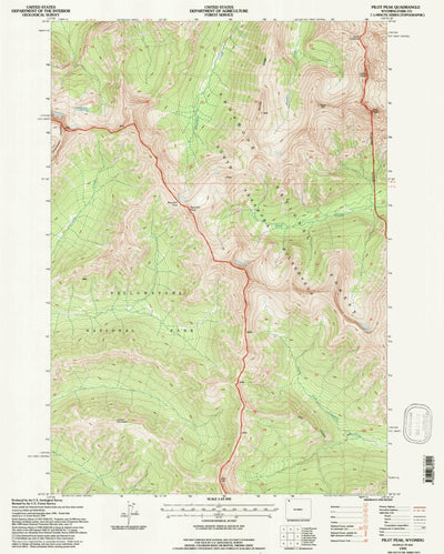 United States Geological Survey Pilot Peak, WY (1991, 24000-Scale) digital map