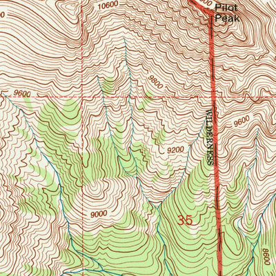 United States Geological Survey Pilot Peak, WY (1991, 24000-Scale) digital map