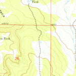 United States Geological Survey Pinavete Canyon, NM (1978, 24000-Scale) digital map