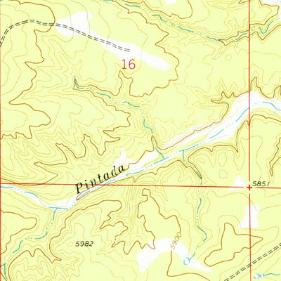 United States Geological Survey Pinavete Canyon, NM (1978, 24000-Scale) digital map
