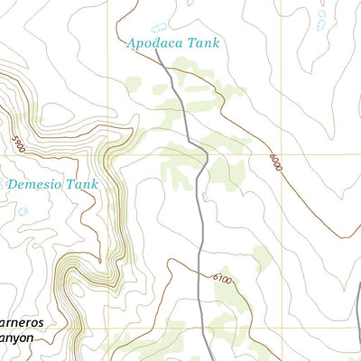 United States Geological Survey Pinavete Canyon, NM (2020, 24000-Scale) digital map
