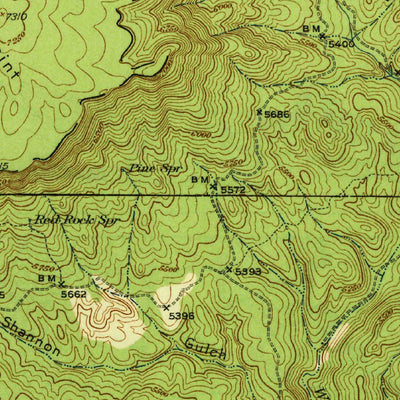 United States Geological Survey Pine, AZ (1940, 62500-Scale) digital map