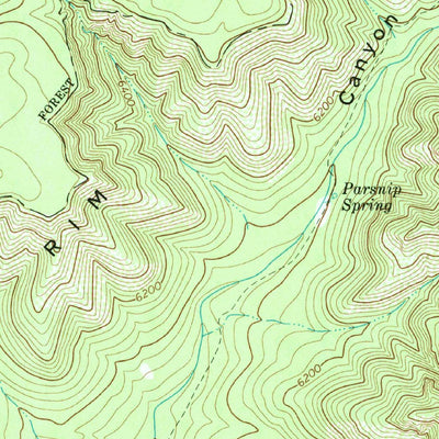 United States Geological Survey Pine, AZ (1973, 24000-Scale) digital map