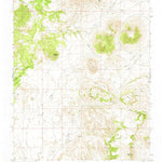 United States Geological Survey Pine Buttes, NM (1971, 24000-Scale) digital map