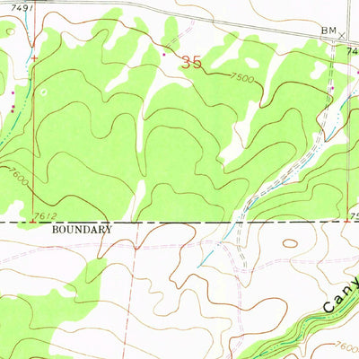 United States Geological Survey Pine Canyon, NM (1963, 24000-Scale) digital map