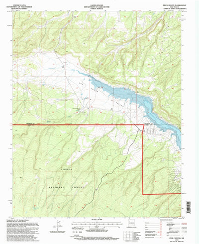 United States Geological Survey Pine Canyon, NM (1995, 24000-Scale) digital map