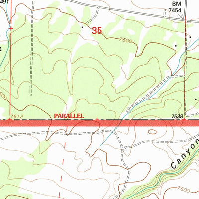 United States Geological Survey Pine Canyon, NM (1995, 24000-Scale) digital map