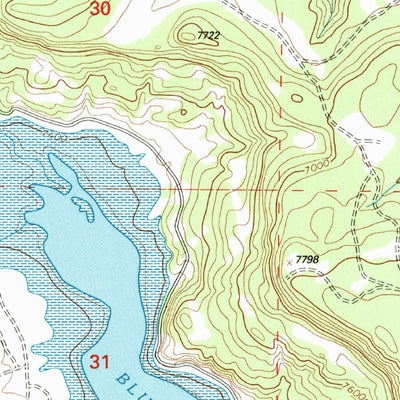 United States Geological Survey Pine Canyon, NM (1995, 24000-Scale) digital map