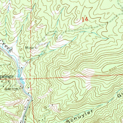 United States Geological Survey Pine, CO (1965, 24000-Scale) digital map