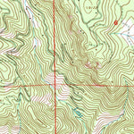 United States Geological Survey Pine, CO (1994, 24000-Scale) digital map