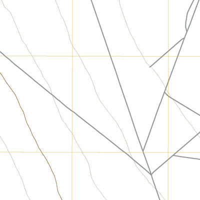 United States Geological Survey Pine Creek Ranch, NV (2021, 24000-Scale) digital map