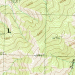 United States Geological Survey Pine Creek Rapids, ID (1991, 24000-Scale) digital map