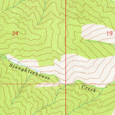 United States Geological Survey Pine Flat, ID (1972, 24000-Scale) digital map