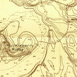 United States Geological Survey Pine Forest, TX (1926, 24000-Scale) digital map