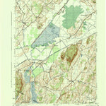 United States Geological Survey Pine Island, NY-NJ (1943, 31680-Scale) digital map