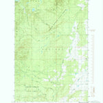 United States Geological Survey Pine Lake, MI (1984, 24000-Scale) digital map
