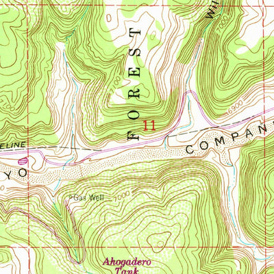 United States Geological Survey Pine Lake, NM (1963, 24000-Scale) digital map