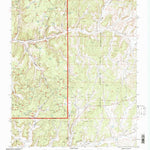United States Geological Survey Pine Lake, NM (1995, 24000-Scale) digital map