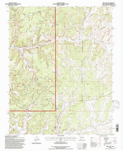 United States Geological Survey Pine Lake, NM (1995, 24000-Scale) digital map