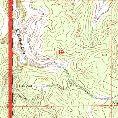 United States Geological Survey Pine Lake, NM (1995, 24000-Scale) digital map