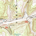 United States Geological Survey Pine Lake, NM (1995, 24000-Scale) digital map