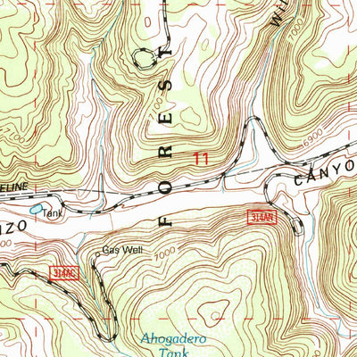 United States Geological Survey Pine Lake, NM (1995, 24000-Scale) digital map