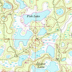 United States Geological Survey Pine Lakes, FL (1962, 24000-Scale) digital map