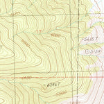 United States Geological Survey Pine Nut Valley, NV (1986, 24000-Scale) digital map
