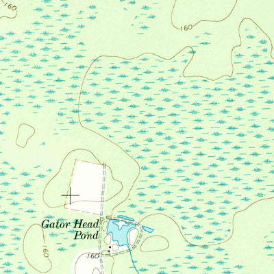 United States Geological Survey Pine Valley, GA (1967, 24000-Scale) digital map