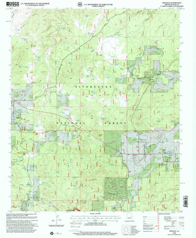 United States Geological Survey Pinedale, AZ (1998, 24000-Scale) digital map