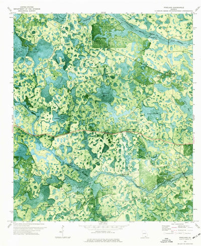 United States Geological Survey Pineland, GA (1971, 24000-Scale) digital map