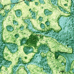 United States Geological Survey Pineland, GA (1971, 24000-Scale) digital map