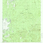 United States Geological Survey Pineland South, TX (1984, 24000-Scale) digital map