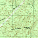 United States Geological Survey Pineland South, TX (1984, 24000-Scale) digital map
